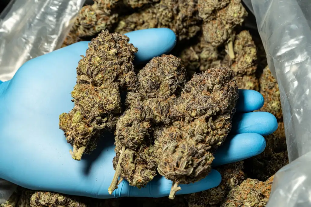 上海挽馨耿实业日用百货型号参数对比分析指南
